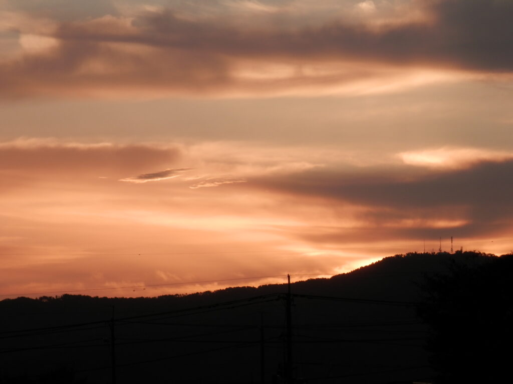 空　2020年11月1日撮影