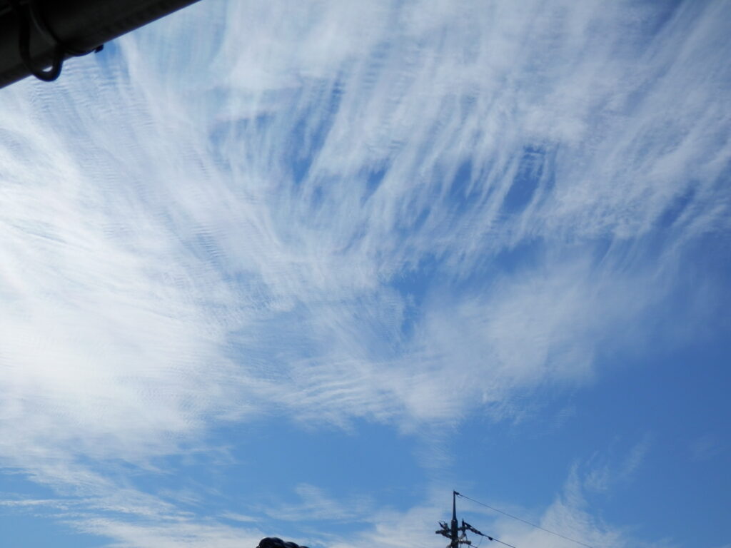 空　2020年11月6日撮影