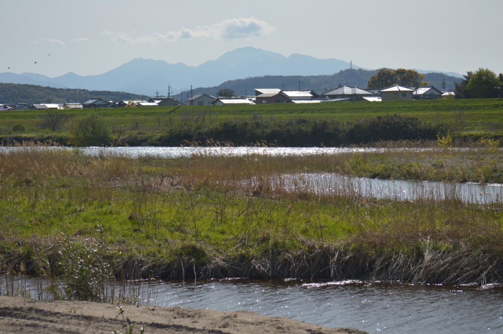 川　2021年4月10日撮影