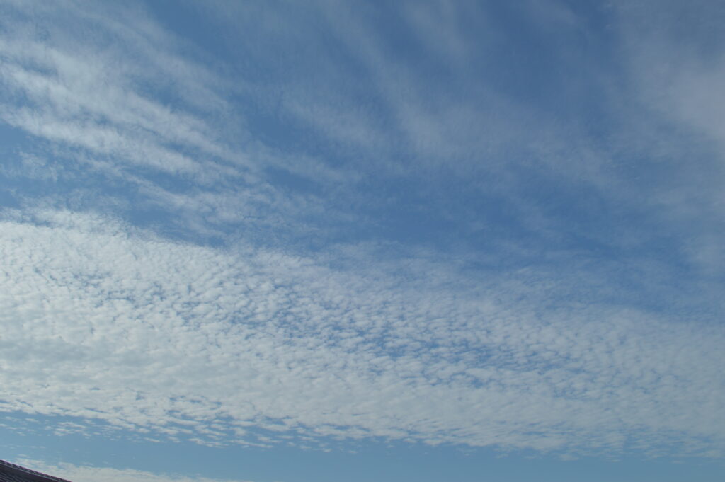 空　2021年6月19日撮影