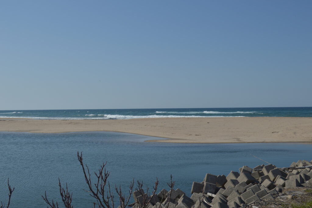 海　2021年4月11日撮影