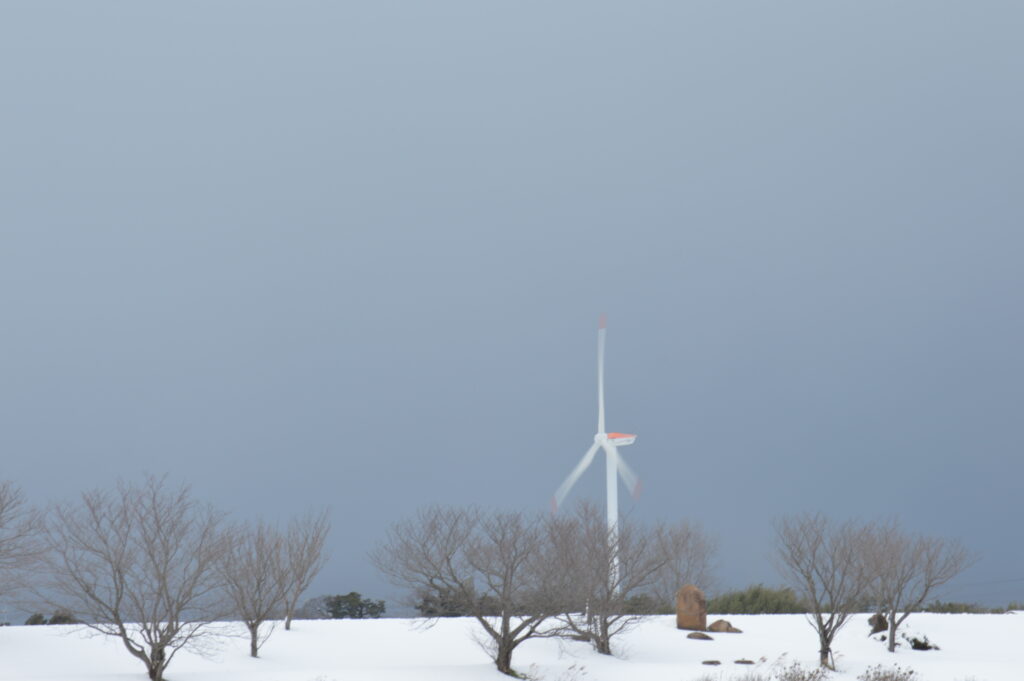 景色　2021年1月1日撮影