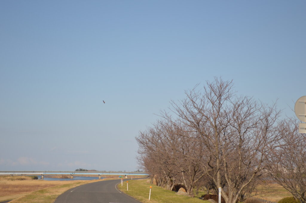 景色　2021年2月6日撮影