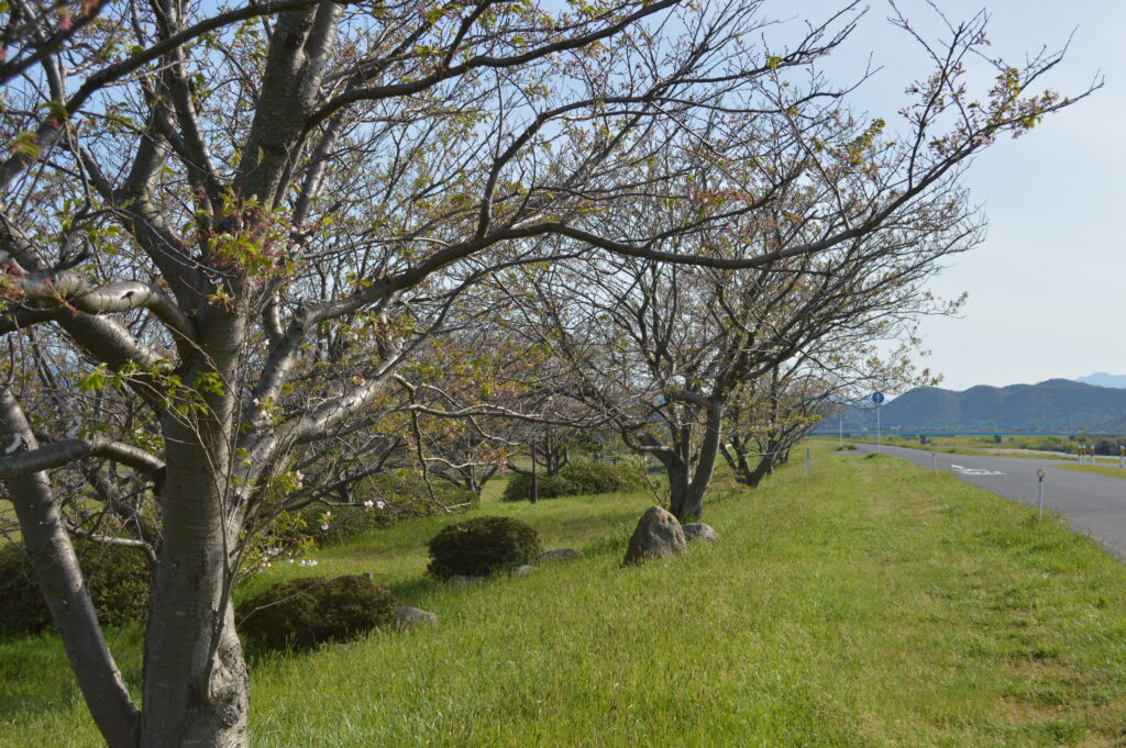 景色　2021年4月10日撮影