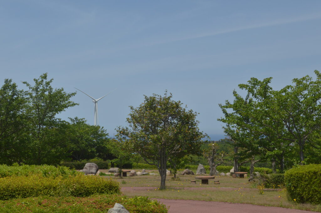 景色　2021年5月14日撮影