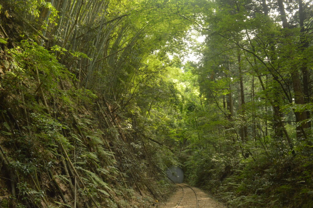 倉吉線廃線跡　2021年6月20日撮影