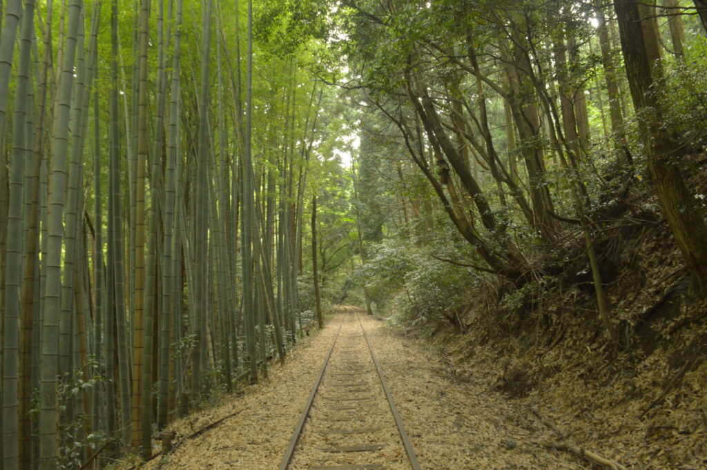 倉吉線廃線跡　2021年6月20日撮影