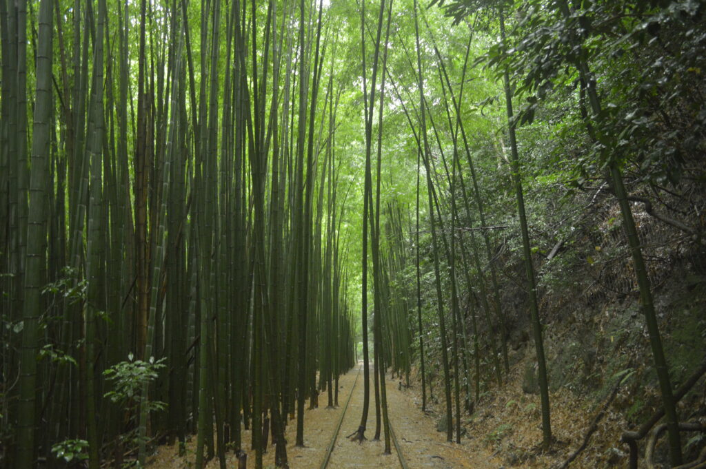 倉吉線廃線跡　2021年7月9日撮影