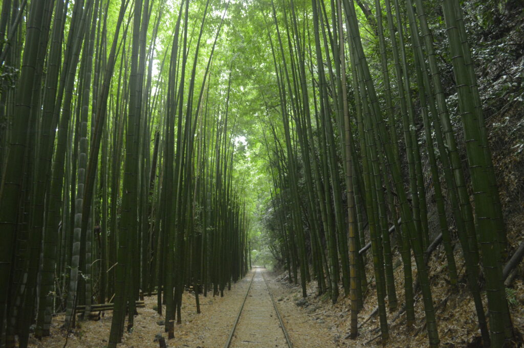 倉吉線廃線跡 2021年7月9日撮影