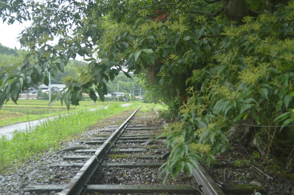 倉吉線廃線跡　2021年7月9日撮影