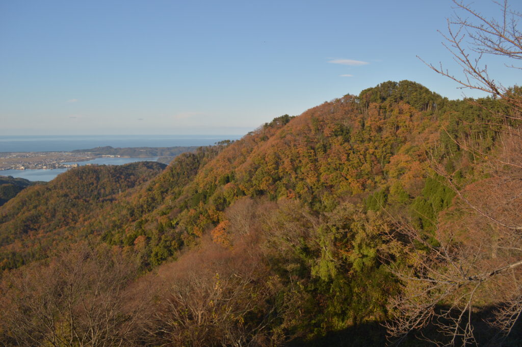 紅葉　2021年11月29日撮影