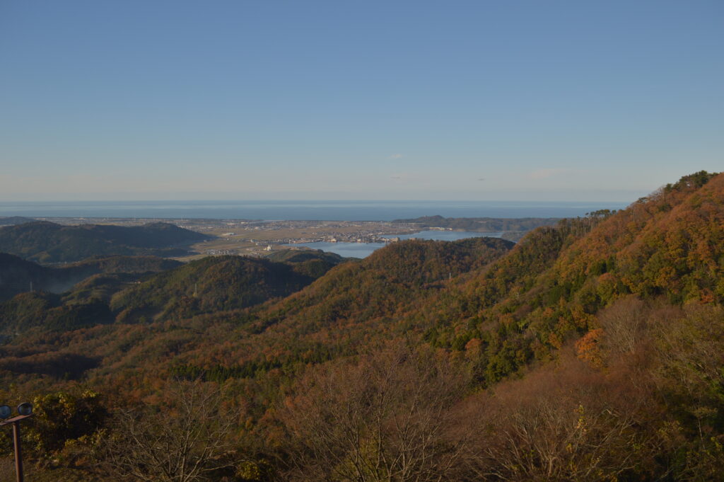 紅葉　2021年11月29日撮影