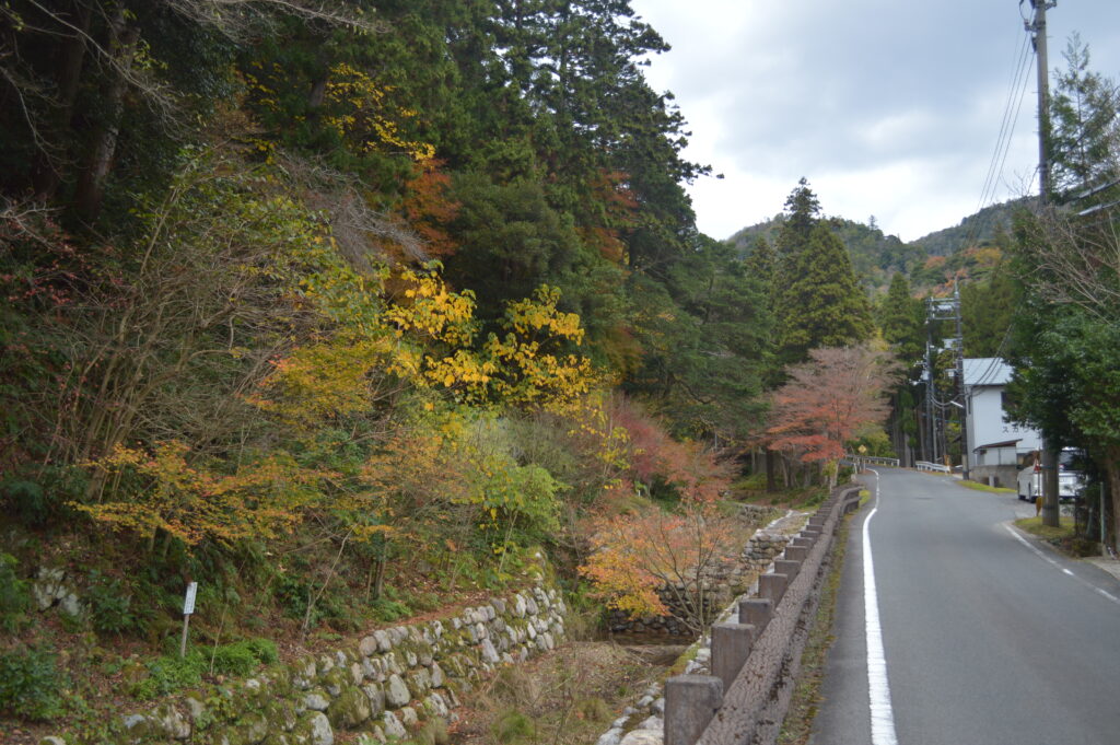紅葉　2022年12月5日撮影