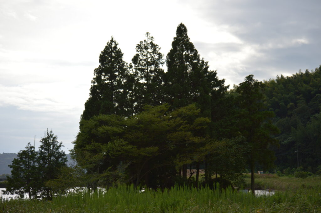鎮守の森　2021年9月16日撮影