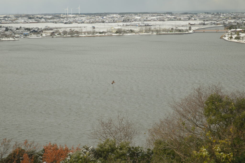 東郷池　2022年12月18日撮影