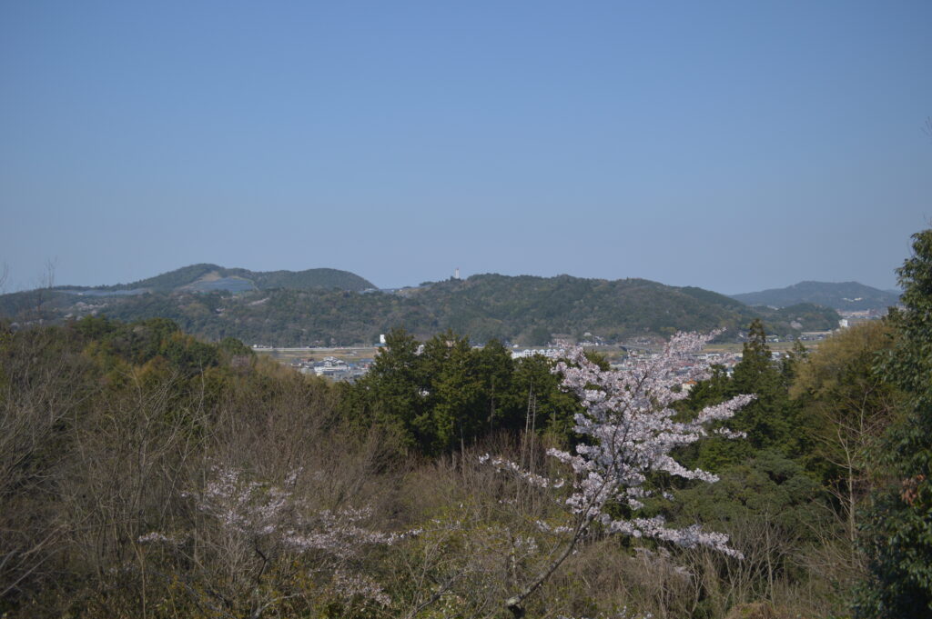 景色　2023年3月31日撮影