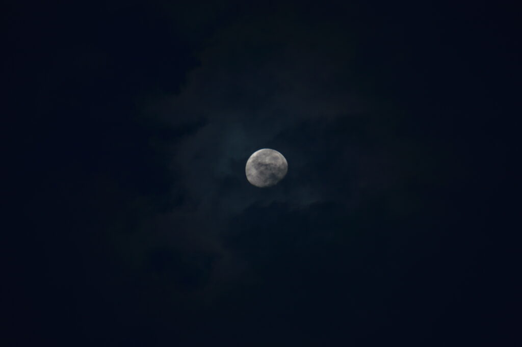 月　2023年9月3日撮影