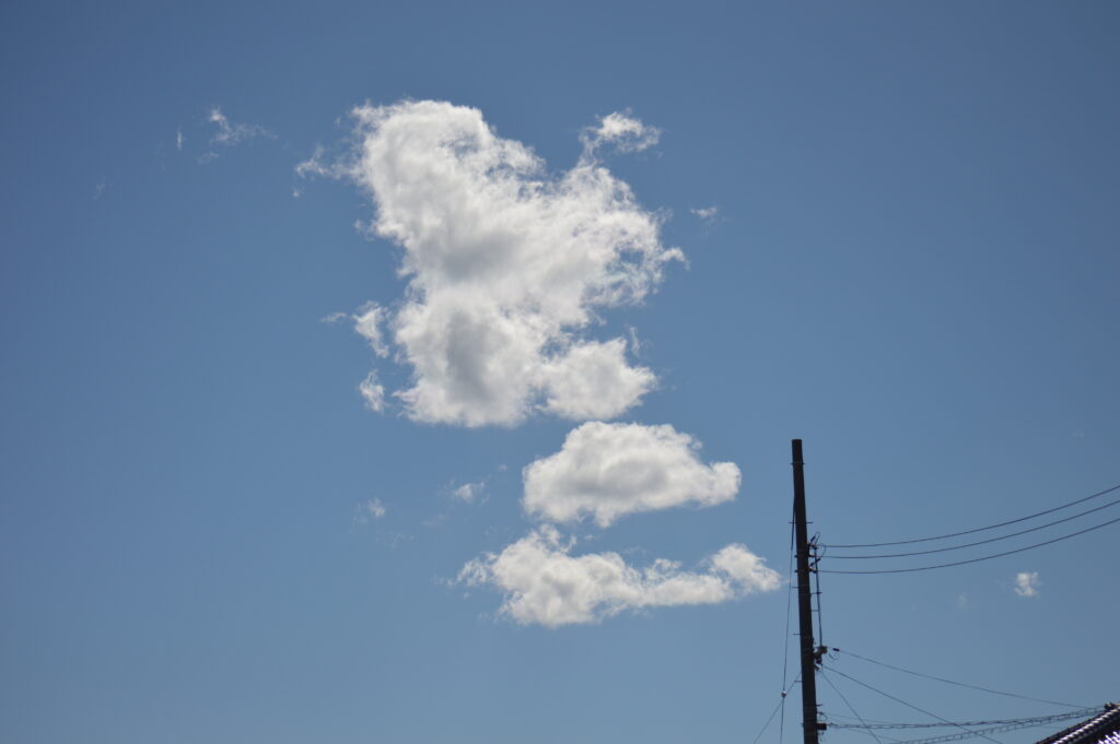 青空　2024年2月18日撮影