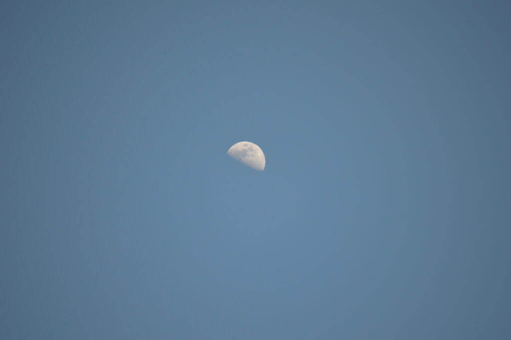 上弦の月　2024年2月17日撮影