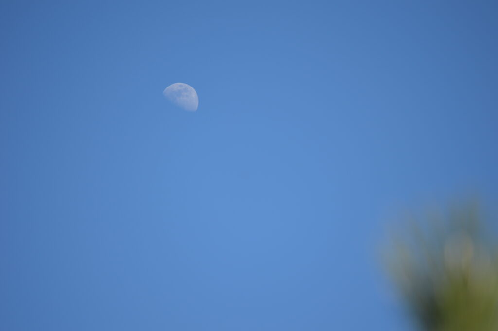 月　2024年2月18日撮影