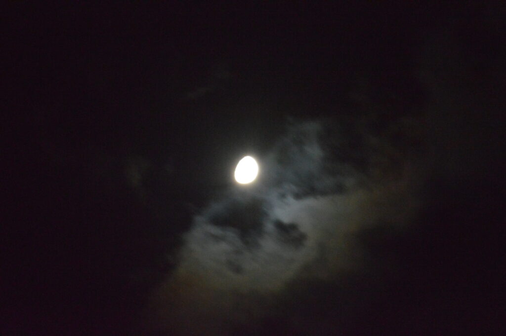 月　2024年2月19日撮影