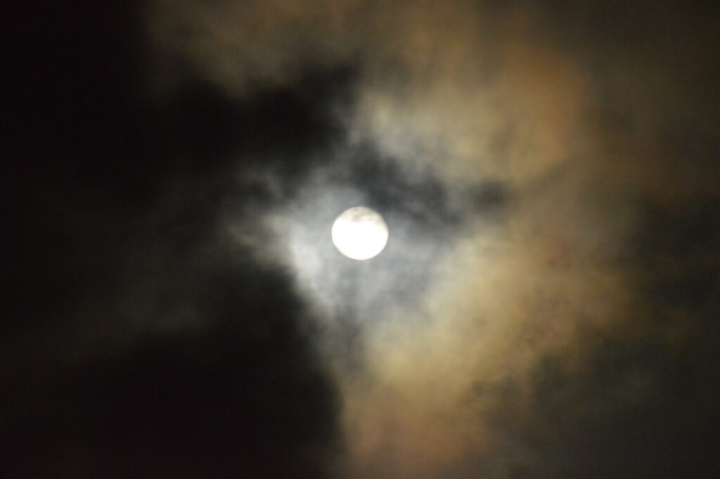 月　2024年2月25日撮影