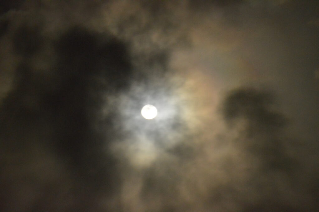 月　2024年2月25日撮影