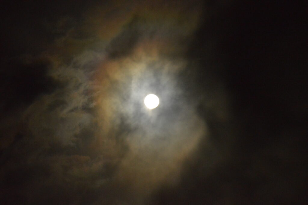 月　2024年2月25日撮影