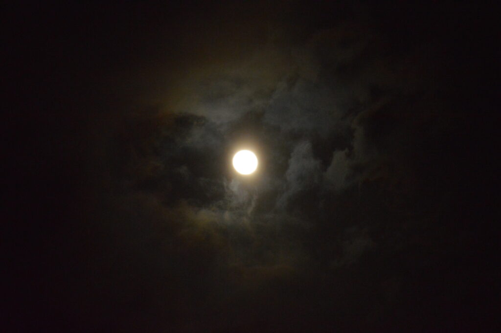 月　2024年2月25日撮影