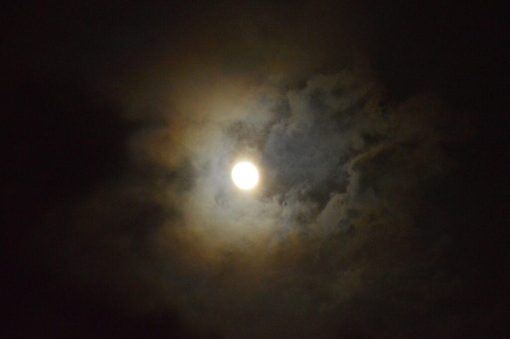 月　2024年2月25日撮影