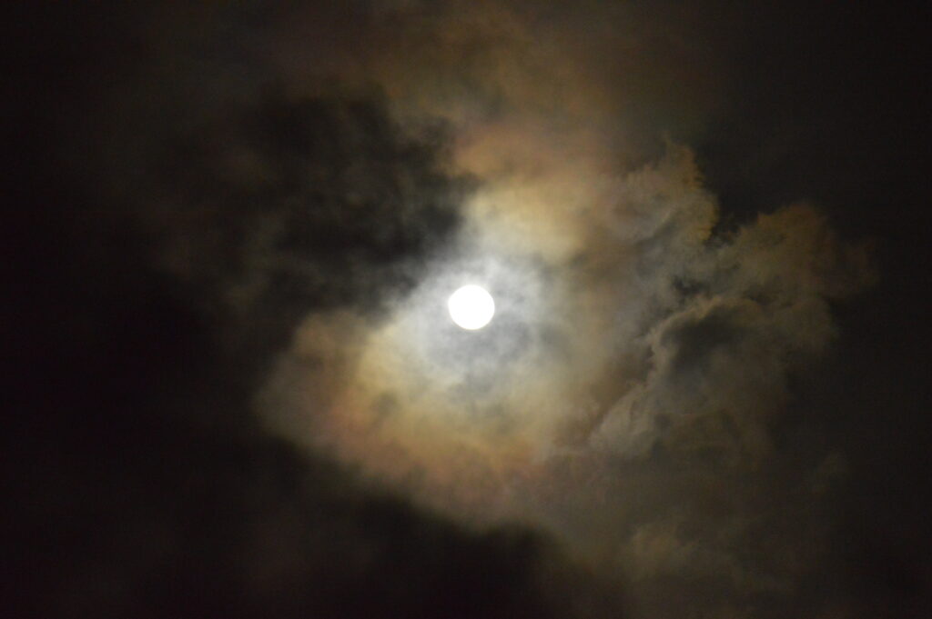 月　2024年2月25日撮影