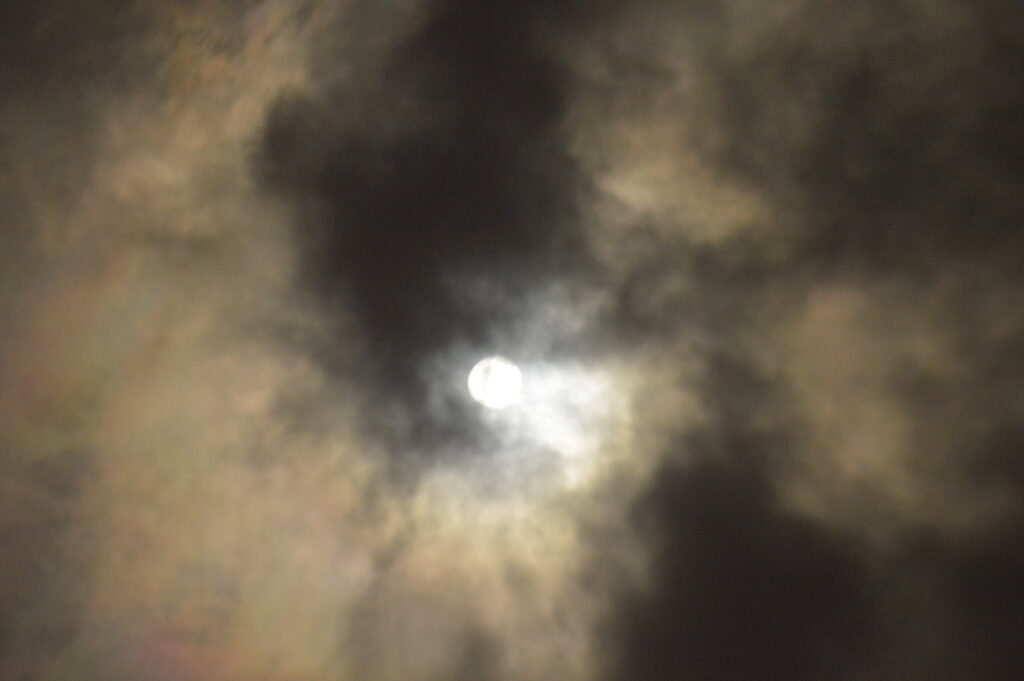 月　2024年2月25日撮影