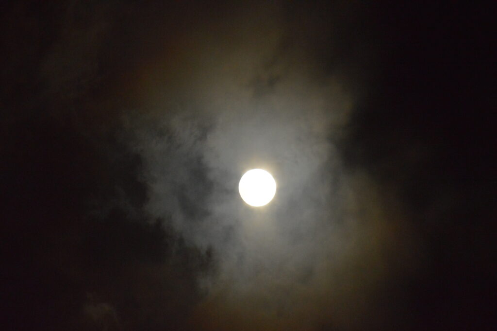 月　2024年2月25日撮影