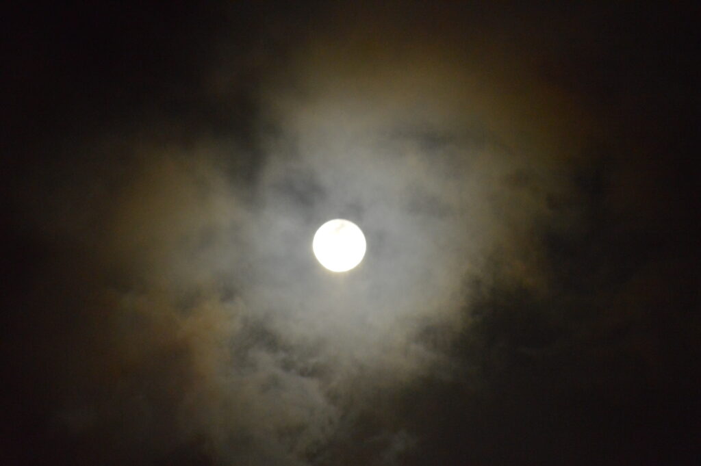 月　2024年2月25日撮影