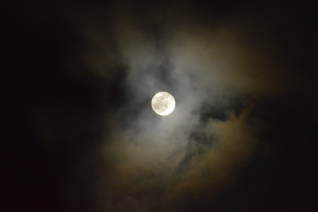 月　2024年2月25日撮影