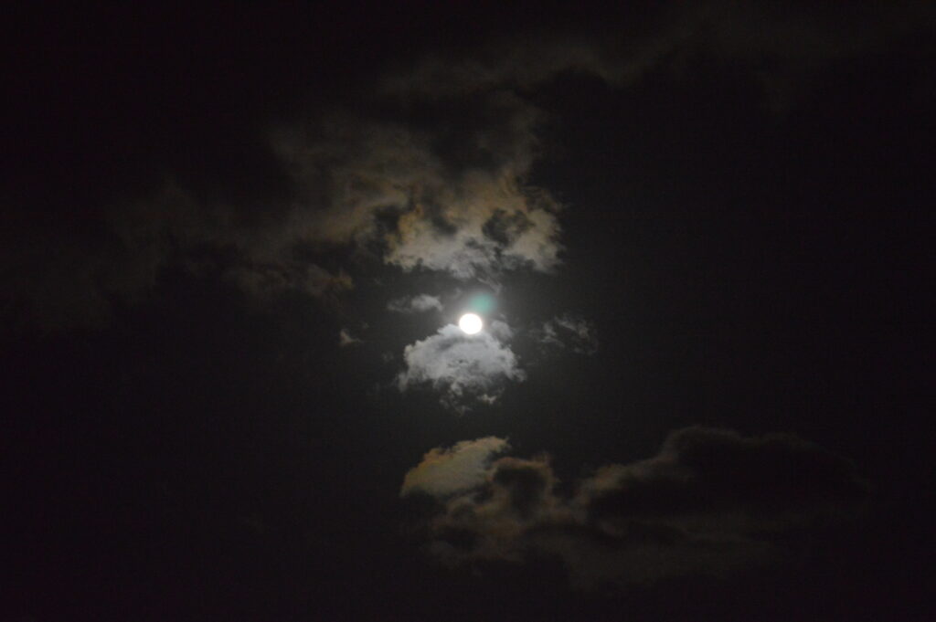 月　2024年2月26日撮影