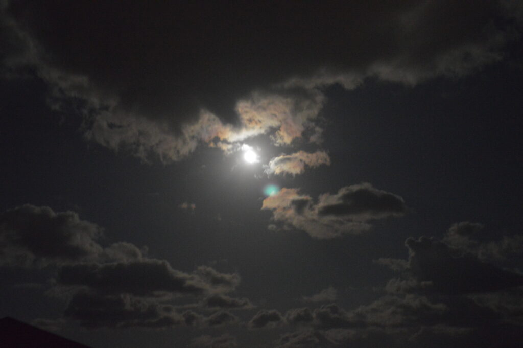 月　2024年2月26日撮影