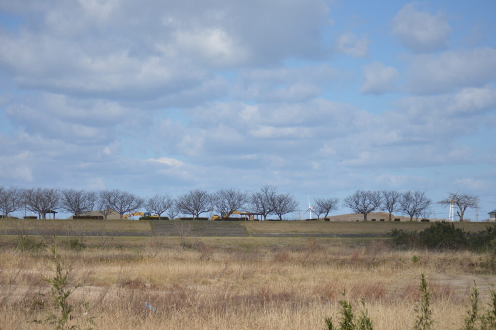 春先の桜並木　2024年3月10日撮影