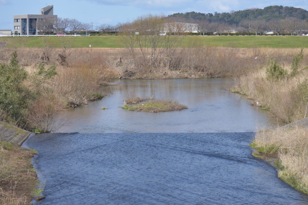 天神川　2024年3月10日撮影