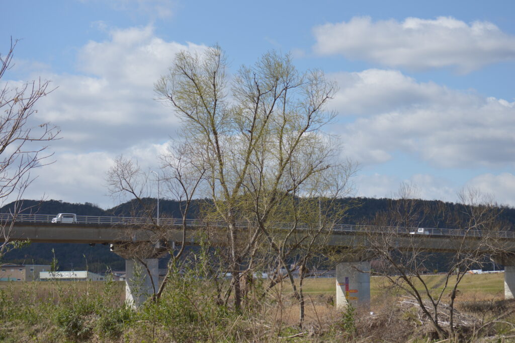 景色　2024年3月10日撮影
