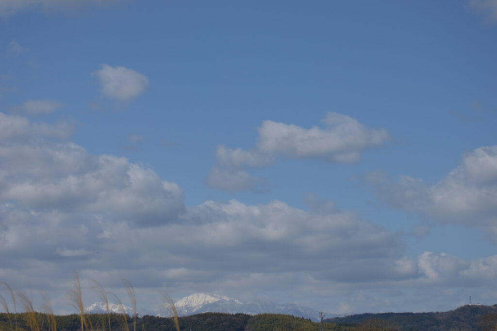 景色　2024年3月10日撮影