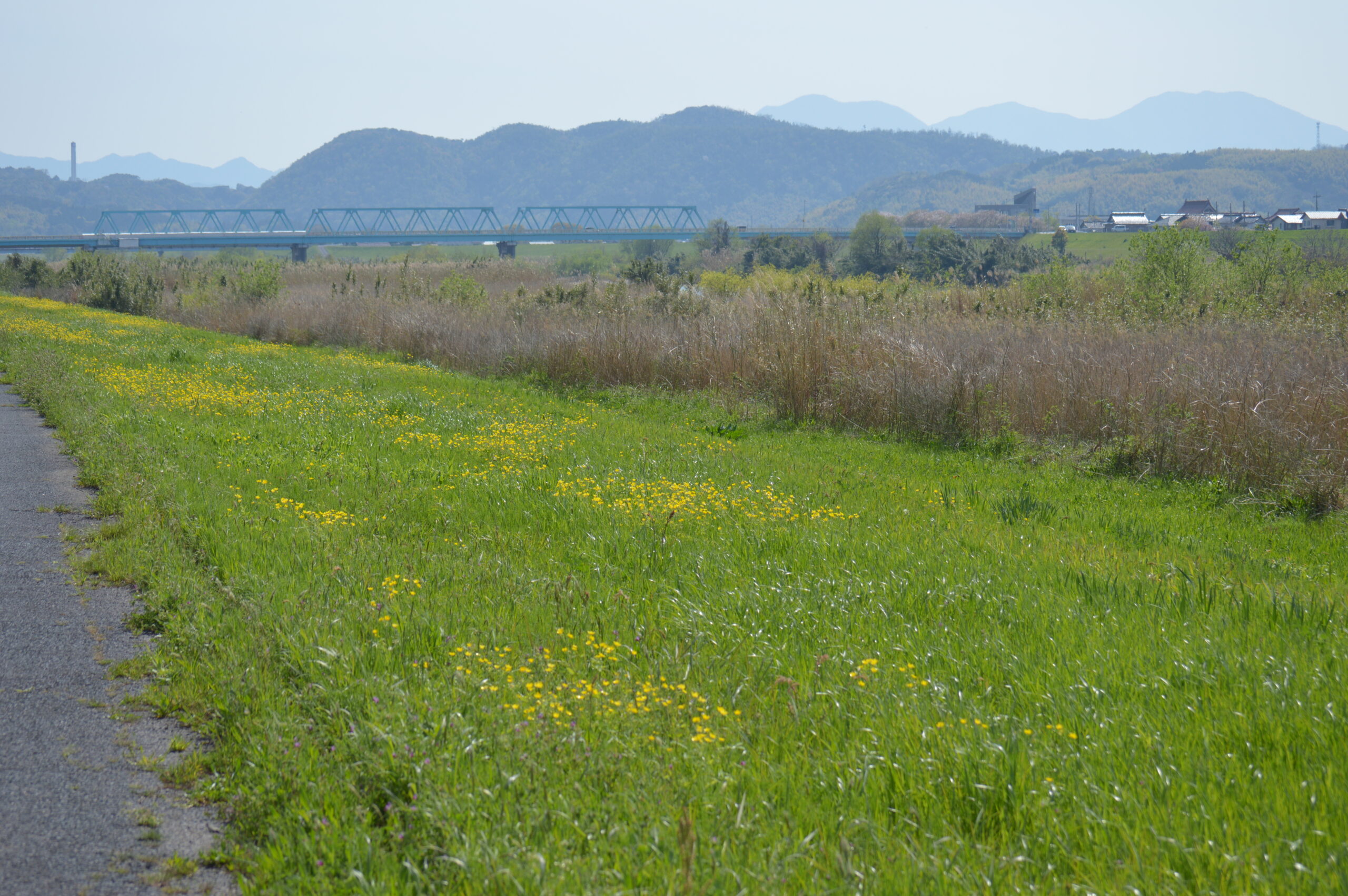 景色　2024年4月14日撮影