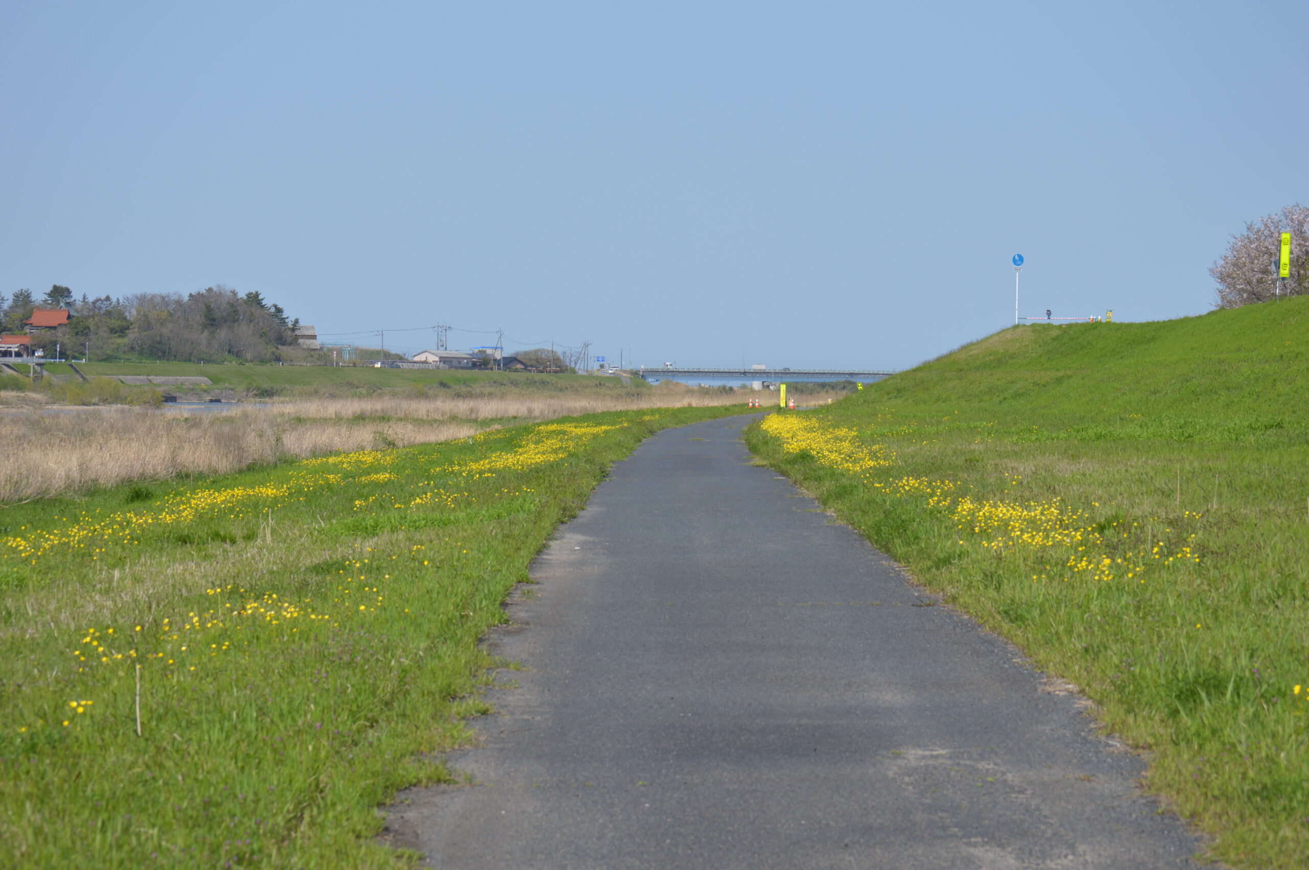 景色　2024年4月14日撮影
