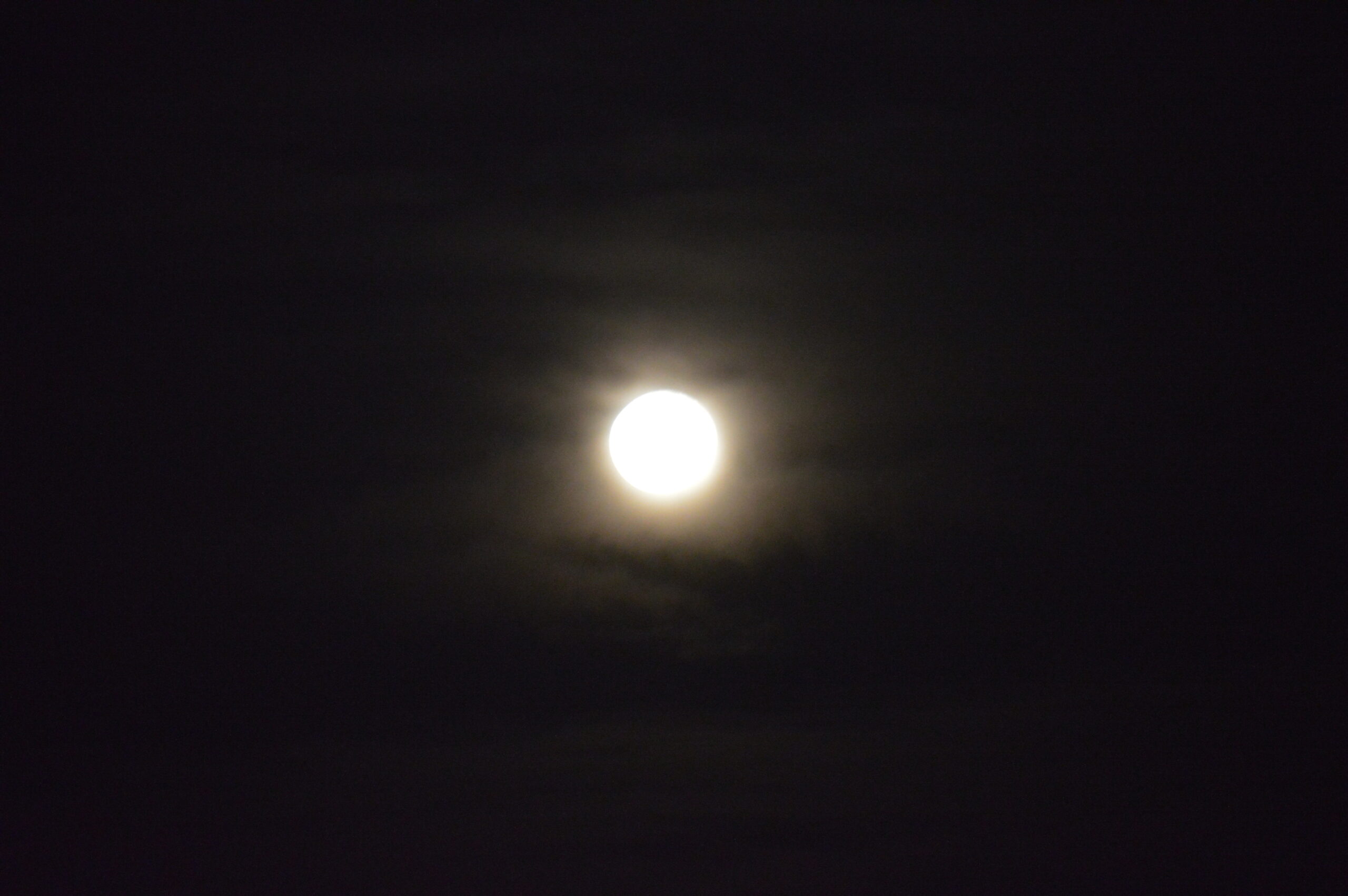 月　2024年4月25日撮影