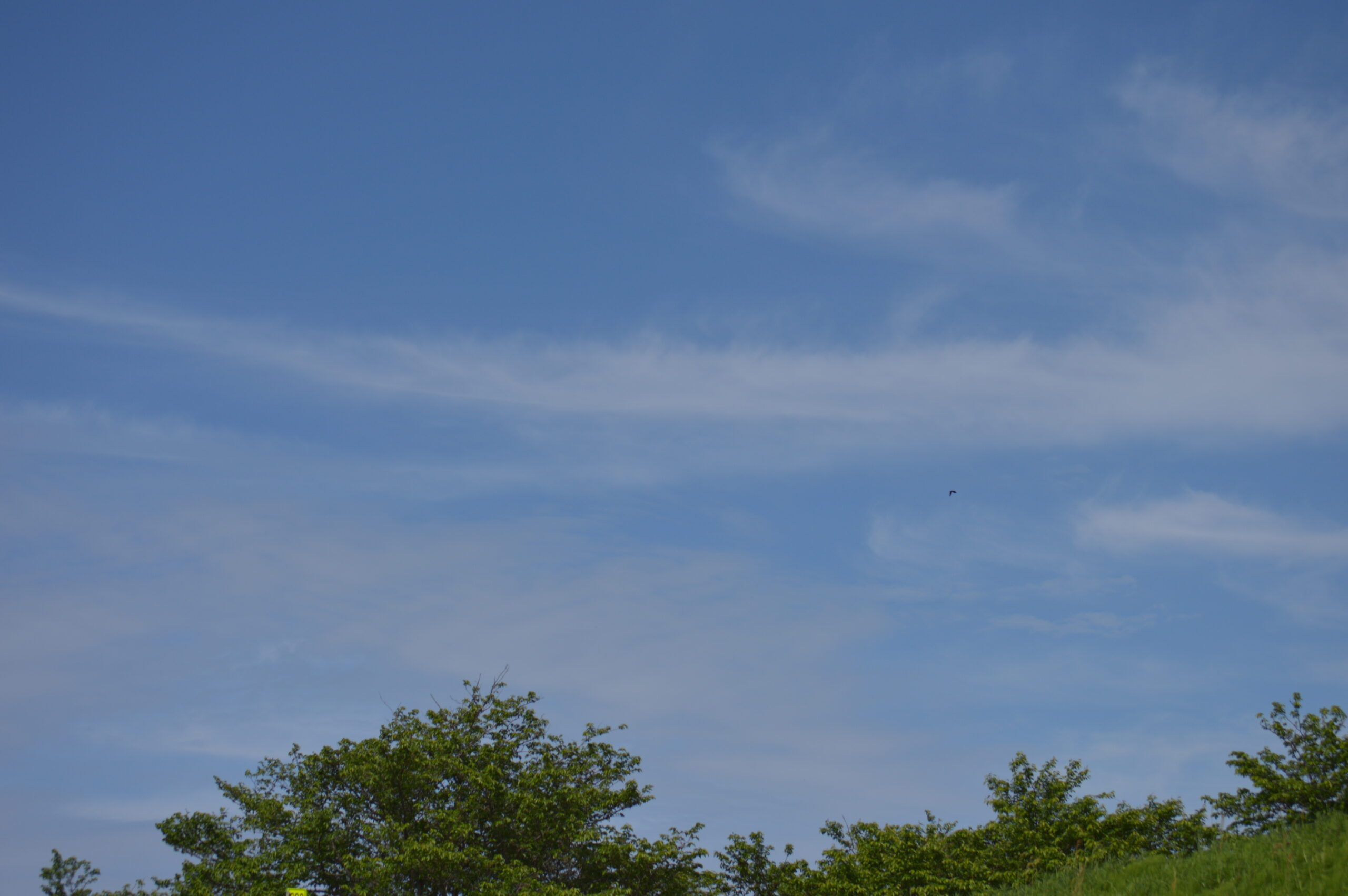 空　2024年4月27日撮影