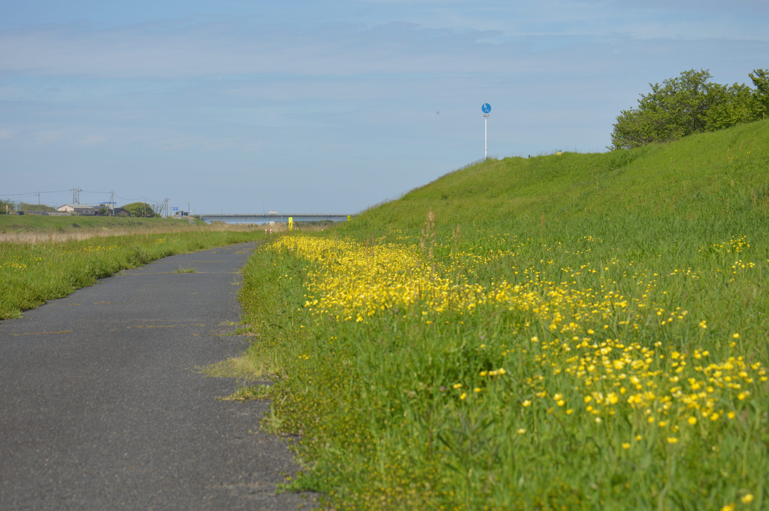景色　2024年4月27日撮影