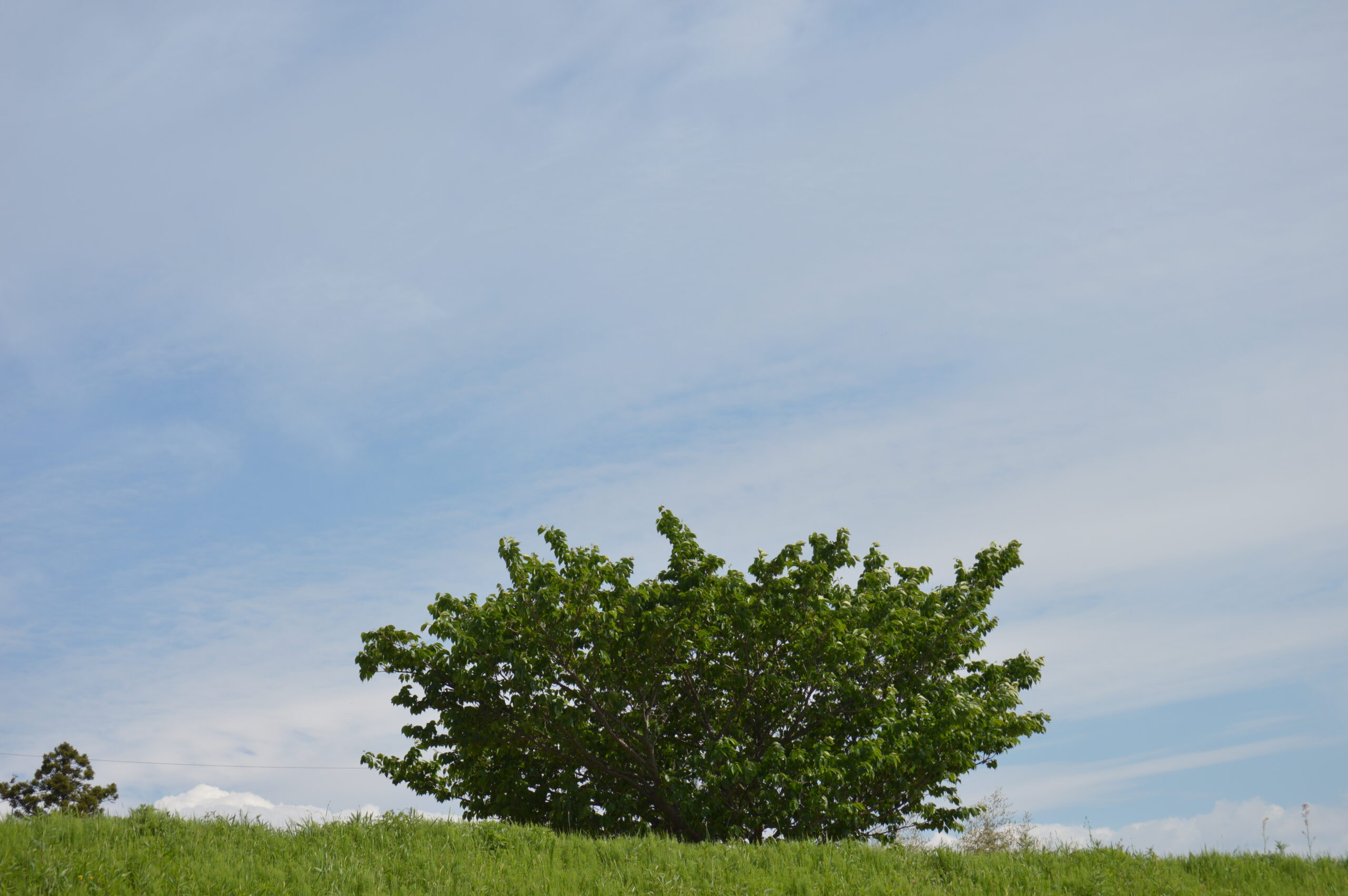 景色　2024年4月27日撮影