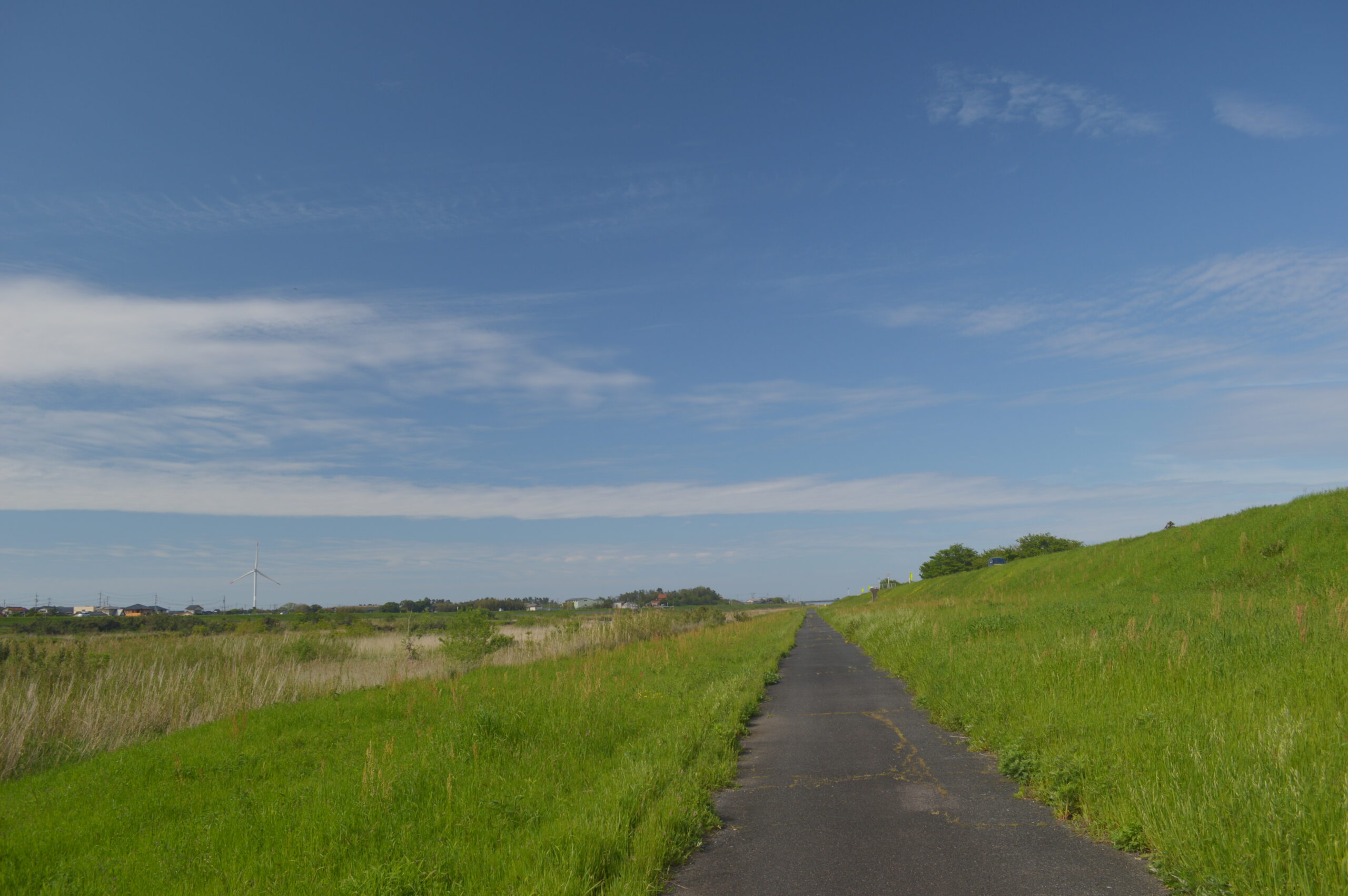 景色　2024年4月27日撮影