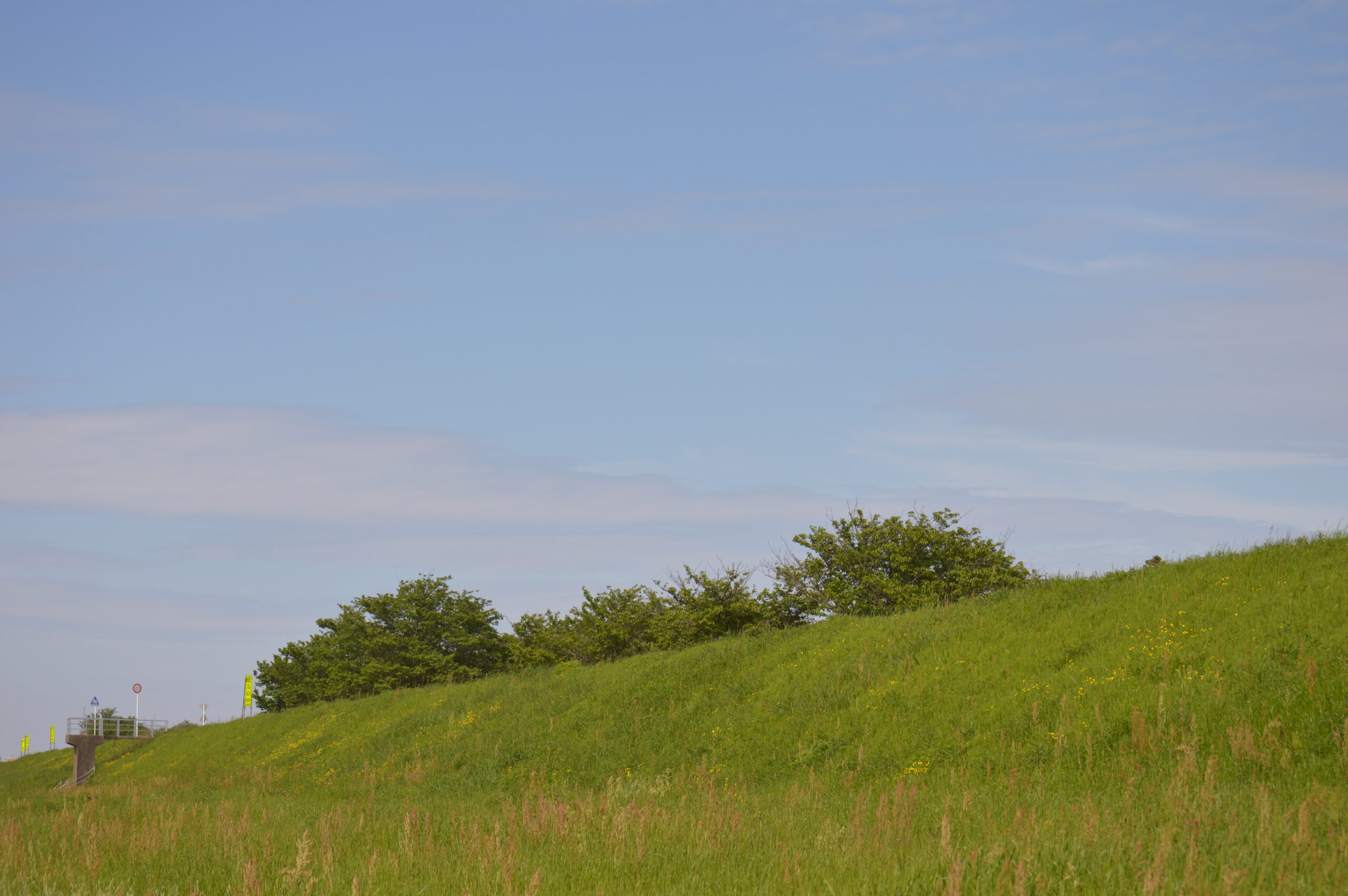 景色　2024年4月27日撮影