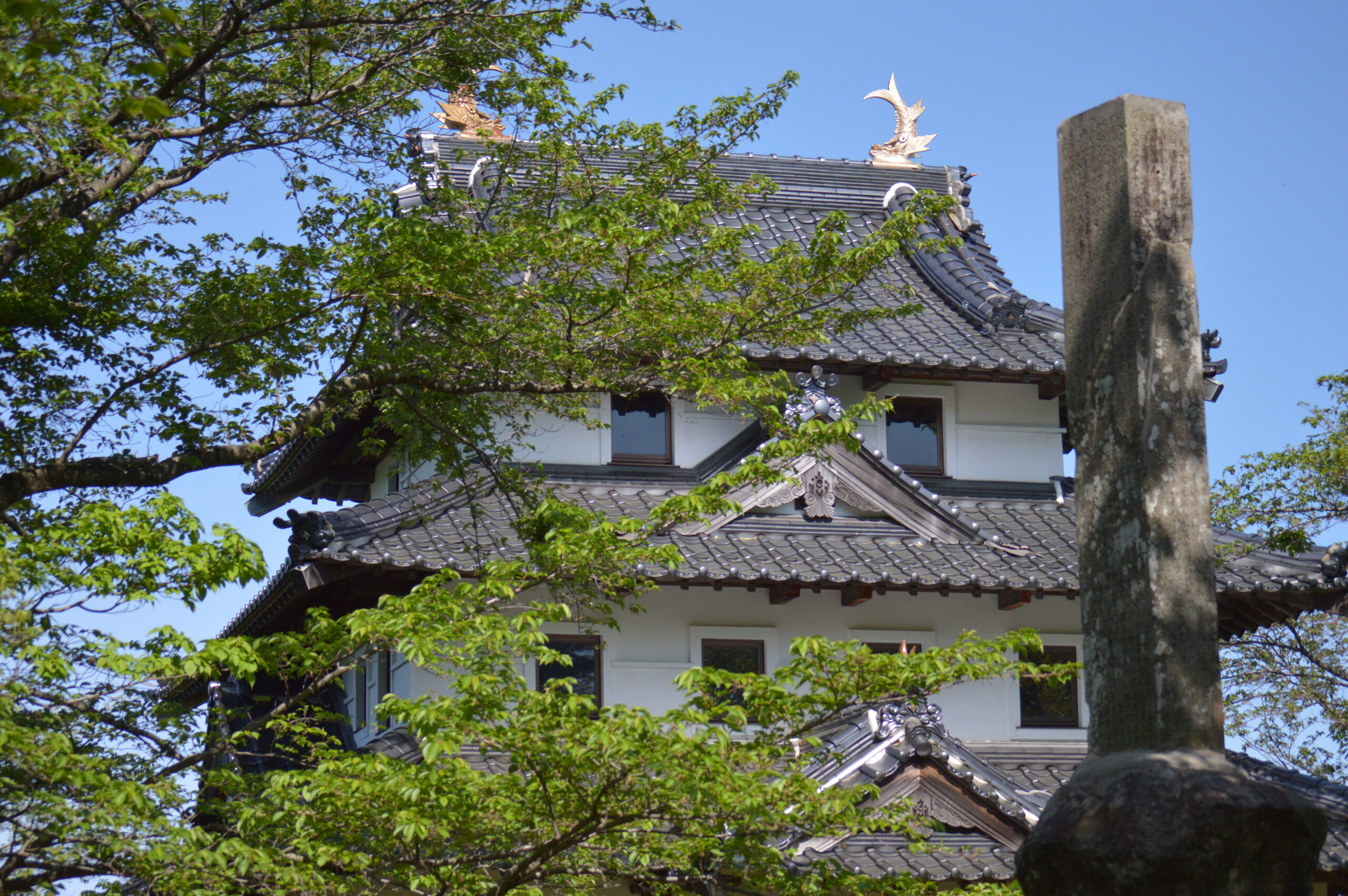 羽衣石城跡　模擬天守　2024年4月28日撮影